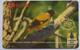 Sri Lanka 33SRLC Rs.100 Black Headed Oriole ( With Text "over 1000 Payphone Network ") - Sri Lanka (Ceylon)