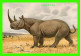 RHINOCÉROS D'AFRIQUE, SPITZNASHORN - DICEROS BICORNIS - MAMMIFÈRES, ONGULÉS - ÉDITIONS, N. BOUBÉEE ET CIE - - Rinoceronte