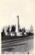 BELGIQUE - SOIGNIES - Le Monument - Edit Mme Schellinck - Carte Postale Ancienne - Soignies