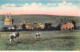 BELGIQUE - ST HUBERT - Panorama - Edit F Butenaers - Carte Postale Ancienne - Saint-Hubert