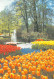 KEUKENHOF LISSE (1008) - Lisse