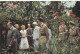 Delcampe - Reis Van De Koning In Congo -Zomer 1955 - 15 Stuks Van Cote D' Or Chocolade - Collections & Lots