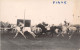 Delcampe - LOT DE 42 CARTES PHOTO -1934 / 1937 - CHEVAUX DE COURSE- HIPPODROME DU CAIRE EGYPTE - 5 - 99 Cartes