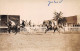 Delcampe - LOT DE 42 CARTES PHOTO -1934 / 1937 - CHEVAUX DE COURSE- HIPPODROME DU CAIRE EGYPTE - 5 - 99 Karten