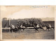 Delcampe - LOT DE 42 CARTES PHOTO -1934 / 1937 - CHEVAUX DE COURSE- HIPPODROME DU CAIRE EGYPTE - 5 - 99 Postkaarten