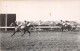 Delcampe - LOT DE 42 CARTES PHOTO -1934 / 1937 - CHEVAUX DE COURSE- HIPPODROME DU CAIRE EGYPTE - 5 - 99 Cartes