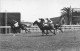 Delcampe - LOT DE 42 CARTES PHOTO -1934 / 1937 - CHEVAUX DE COURSE- HIPPODROME DU CAIRE EGYPTE - 5 - 99 Cartes