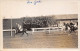 Delcampe - LOT DE 42 CARTES PHOTO -1934 / 1937 - CHEVAUX DE COURSE- HIPPODROME DU CAIRE EGYPTE - 5 - 99 Postales