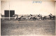 Delcampe - LOT DE 42 CARTES PHOTO -1934 / 1937 - CHEVAUX DE COURSE- HIPPODROME DU CAIRE EGYPTE - 5 - 99 Cartes