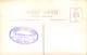 Delcampe - LOT DE 42 CARTES PHOTO -1934 / 1937 - CHEVAUX DE COURSE- HIPPODROME DU CAIRE EGYPTE - 5 - 99 Cartes