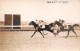 Delcampe - LOT DE 42 CARTES PHOTO -1934 / 1937 - CHEVAUX DE COURSE- HIPPODROME DU CAIRE EGYPTE - 5 - 99 Karten