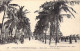 SENEGAL - Afrique Occidentale - Saint-Louis - Allée Servatius - Carte Postale Ancienne - Senegal