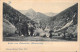 ALLEMAGNE - Munsterthal - Gruss Vom Wolmsathal - Carte Postale Ancienne - Muenstertal