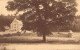 BELGIQUE - ORVAL - Abbaye Notre Dame D'Orsal - Brasserie De L'Abbaye Construite En 1931 - Carte Postale Ancienne - Autres & Non Classés