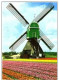 Delcampe - AKEO 23 Esperanto Cards The Netherlands - Tulips - Cheese - Windmill - Canals - Harbour - Text In Esperanto - Esperanto