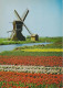 Delcampe - AKEO 23 Esperanto Cards The Netherlands - Tulips - Cheese - Windmill - Canals - Harbour - Text In Esperanto - Esperanto