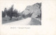 BELGIQUE - DINANT - Route De Waulsort - Carte Postale Ancienne - Dinant