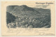 Schramberg / Black Forest: Total View (Vintage PC 1903) - Schramberg