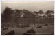 DUNFERMLINE- The Bandstand, Pittencrieff Glen - Photographic Card - Fife
