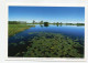 AK 131518 AUSTRALIA - NT - Yellow Water Im Kakadu N. P. - Kakadu