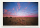 AK 131551 AUSTRALIA - WA - Pinnacles Desert Im Nambung N. P. - Autres & Non Classés