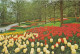 Keukenhof Lisse 2 Kaarten - Lisse