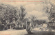 FRANCE - Nouvelle Calédonie - Nouméa - Jardin Du Gouvernement - Carte Postale Ancienne - Nouvelle Calédonie