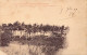 FRANCE - Nouvelle Calédonie - Plage Couverte De Cocotiers - Tribu De Baoum - Carte Postale Ancienne - Nouvelle Calédonie