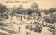 CONGO BELGE - Léopoldville - Chameaux Porteurs - Carte Postale Ancienne - Congo Belge