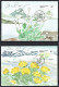 Greenland 2005. Native Edible Plants. Michel  454-456. Maxi Cards Signed. - Cartoline Maximum
