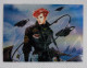 Card / Carte Rigide - 6,4 X 8,9 Cm - The Best Of ROYO All-Chromium 1995 - N° 54 - Sundowner - Andere & Zonder Classificatie