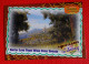 Premium Trading Cards / Carte Rigide - 6,4 X 8,9 Cm - Shrek The Third 2007 - Postcards From Far Far Away - N°35 - Otros & Sin Clasificación