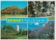 Australia QUEENSLAND QLD Parks & Gardens BRISBANE Nucolorvue 12BS020 Multiview Postcard C1980s - Brisbane