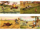 HUNTING FISHING HUMOR COMIC, 33 Old Postcards Pre-1950 (L6206) - Collezioni E Lotti