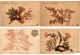 SEA PLANTS ALGUES NATURELLES, HANDMADE, FRANCE, 17 Vintage Postcards (L6230) - Collections & Lots