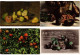 Delcampe - FRUIT, FRUITS, 67 Vintage Postcards Pre-1940 (L6218) - Collections & Lots