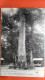 Cpa.(77) Forêt De Fontainebleau. Le Jupiter.. (AF.174) - Jagd