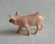 FIGURINE Marque Inconnue  - ANIMAUX ANIMAL DE LA FERME - PORCINET BEBE COCHON (1) Pas Clairet Starlux - Pigs