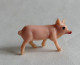 FIGURINE Marque Inconnue  - ANIMAUX ANIMAL DE LA FERME - PORCINET BEBE COCHON (2) Pas Clairet Starlux - Cerdos