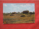 Timothy & Red Clover Field.   North Dakota >   Ref 6044 - Sonstige & Ohne Zuordnung