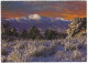 Pikes Peak, Alt. 14,110 Ft. In Winter - Colorado Springs - (USA) - 1980 - Colorado Springs
