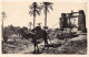 TUNISIE - Tunis - Dans Le Sud - Pompage De L'eau Par La Noria - Carte Postale Ancienne - Tunisia