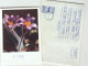 #68 Traveled Envelope And Postcard Flowers Cyrillic Manuscript Bulgaria 1980 - Local Mail - Covers & Documents