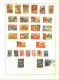 Delcampe - Russia And USSR, 8 Pages - Sammlungen