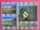 Visuel Très Peu Courant - USA - Arizona - Spring In The Sonoran Desert - R/verso - Other & Unclassified