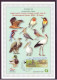 ISRAEL 2015 Souvenir Leaf Birds 35th Anniversary Ornithological Center - Brieven En Documenten
