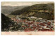 Allemagne --TRIBERG --  Unterstadt---Vue Générale .....colorisée ........carte Précurseur Numérotée  02252 - Triberg