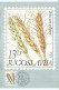 Yugoslavia Post DOUBLE POSTCARD,Happy New Year - Maximum Card - Common Wheat 1981, - Maximum Cards