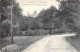 BELGIQUE - DURBUY - Promenade De Petite Somme - Carte Postale Ancienne - Durbuy