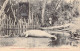 FRANCE - Nouvelle-Calédonie - Dugong Ou Vache Marine, Amphibie Mesurant De 2 à 3 Mètres De.. - Carte Postale Ancienne - Nouvelle Calédonie